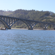 Illustration for article titled Rogue River morning post